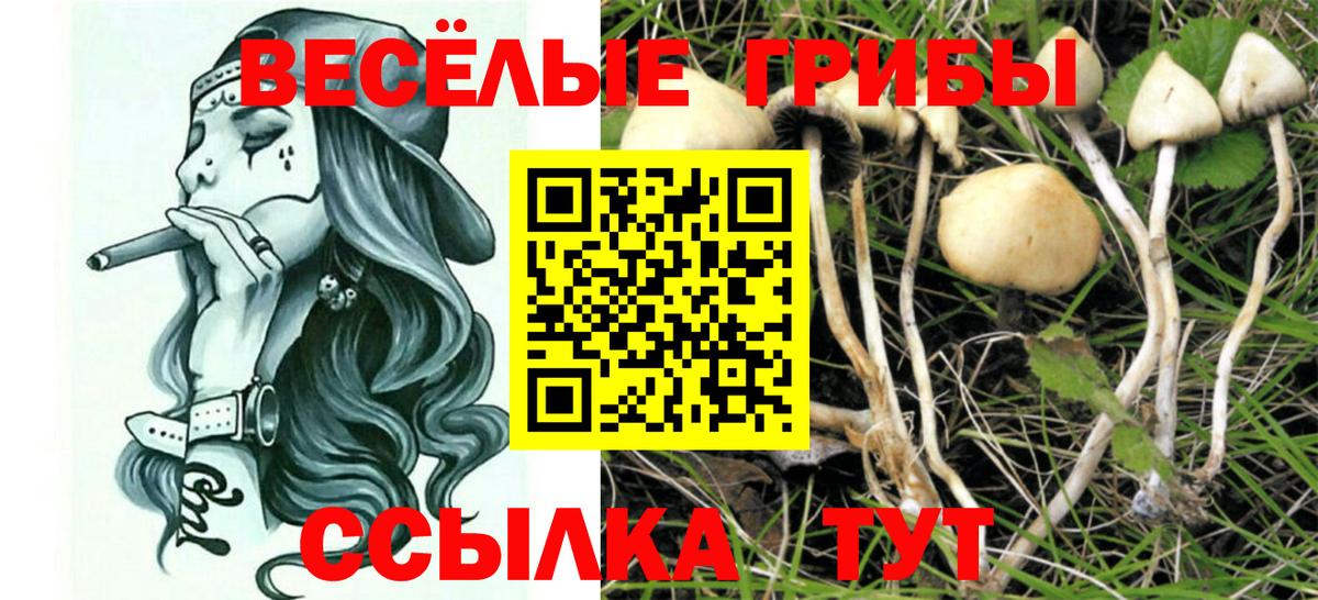 Кисловодск  Псилоцибиновые грибы Magic Shrooms  Вход с VPN 